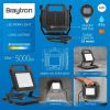 BT59-00531, BRAYTRON - 2