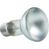 Lamp for stage lighting 220VAC, 40W, E27, R63, matte