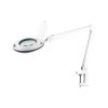 Desk magnifier with lamp NAR0461-2, 230VAC, 10W, 6500K, magnification x2.25, Rebel 
 - 1
