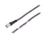 Cable for sensor, 4pin, straight, 24VDC, 5m, CN-24A-C5
