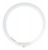 Circular fluorescent tube T5, 22W, ф170mm, 4pins, LAMP-5D-N1-S - 2 - Vikiwat Circular fluorescent tube T5, 22W, ф170mm, 4pins, LAMP-5D-N1-S - 2