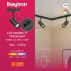 BD61-20281, BRAYTRON - 2
