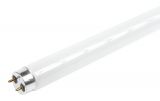 Fluorescent tube 18W, T8, 600mm, 220VAC, 6500K, cool white