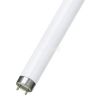 Fluorescent Lamp G13, T8, 36 W, 220 VAC, 100 cm
