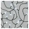 Christmas decoration rope type, 24m, 6W, color cool white, IP44, D4AC05, Emos
 - 1