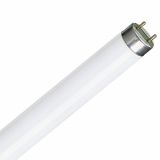 Fluorescent Tube T8, 10 W, 220 VAC, 6500 K (cool daylight), 340 mm