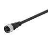 Sensor cable CID3-5, M12, 4pin, 3 wires, прав, 5m, PVC