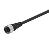 Cable for sensor CID3-5, 4 pins, 3 cables, straight, 5m, M12