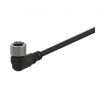 Sensor cable, stright, 2pin, 24VDC, 5m, CLA2-5
