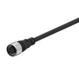 CID2-5 sensor cable, 4 pins, 2 cables, straight connector, 5m, M12