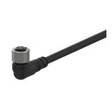 Sensor cable, angular, 2pin, 24VDC, 5m, CLAH2-5