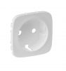 Cover, for power socket, Legrand, Valena Allure, color perl, 755209
