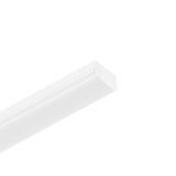 LED wall lamp, 18W, PROLINE, 230VAC, 2160lm, 4000K, neutral white, 590mm, BN20-10610