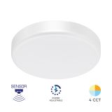 LED Ceiling lamp, 20W, 230VAC, 2000lm, 4in1, IP54, BC15-00480, circle