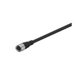 Cable for sensor CID408-5, 4pin, straight connector, 5m, M8mm
