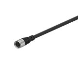 Cable for sensor CID408-5, 4pin, straight connector, 5m, M8mm
