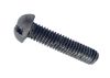 Screw Bolt, M6x25 mm, round head, straight screwdrive, full thread
