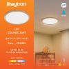 BP07-00487, BRAYTRON - 2