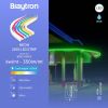 BS02-00013, BRAYTRON - 2
