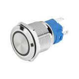 Button switch, vandal resistant, ON-(ON), 5A/12VDC, 5A/250VAC, SPDT, panel