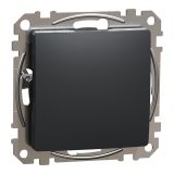 Decorative cover, in anthracite color, from the Sedna series by Schneider Еlectric, SDD114904
