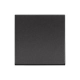 Two-way switch, 10A, 250VAC, color black, built-in, RG4003M2P