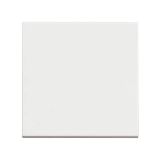 Девиаторен ключ за осветление (сх. 6), 10A, 250VAC, цвят бял, за вграждане, RW4003M2P