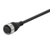 Sensor cable, CID9S-5, 9 pins, 5m, straight connector, M17