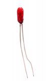 Miniature lamp, 12 V, red