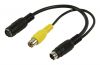 Cable, Mini-DIN 7-pin / m-Mini-DIN 4-pin S-Video / f + RCA / f, 0.25 m - 2