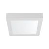 LED панел, за обемен монтаж, 18W, квадрат, 1760lm, 230VAC, 3в1 цвята, 227x227mm, BP04-61880
 - 1