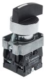 Panel Mount Switch, button, ф22mm, 10A/240VAC, 3-position, SPST