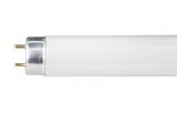 Fluorescent Tube T8, 36W, 220VAC, 6500K (cool white), 1200mm