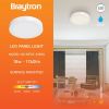 BP03-61880, BRAYTRON - 2