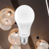 LED lamp, 13W, E27, A65, 230VAC, 1350lm, 6500K, cool white, BA13-01323
 - 2
