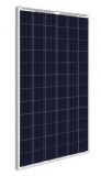 Solar panel CPV60P270, 270W, 31.9V, 8.48A
