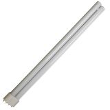 PL Compact Fluorescent Lamp, 55 W, 4P, day light