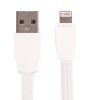 Charger for iPhone, Apple products, with Micro USB cable, LDNIO A2405Q - 2
