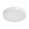 Surface LED panel, 24W, round, 230VAC, 2400lm, 6400K, cool white, 300 mm, BP03-62430
 - 1