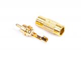 Connector, RCA, M - 3 - Vikiwat Connector, RCA, M - 3